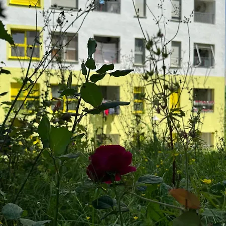 公寓 Journey 地拉那