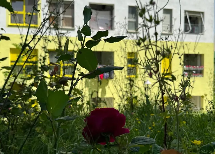 דירה Journey טיראנה