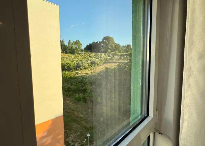 Journey * טיראנה